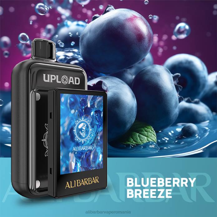 Alibarbar Vape Review briza afinelor - Alibarbar încărcați 6TVX113