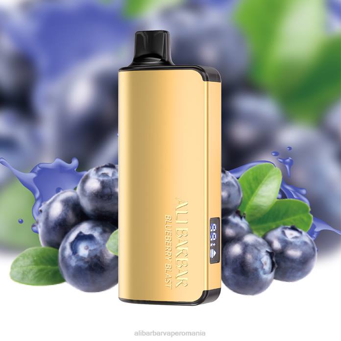 Alibarbar Vape Romania fructe de pasiune mango lime - Alibarbar Ingot 9000 vape de unică folosință 6TVX22